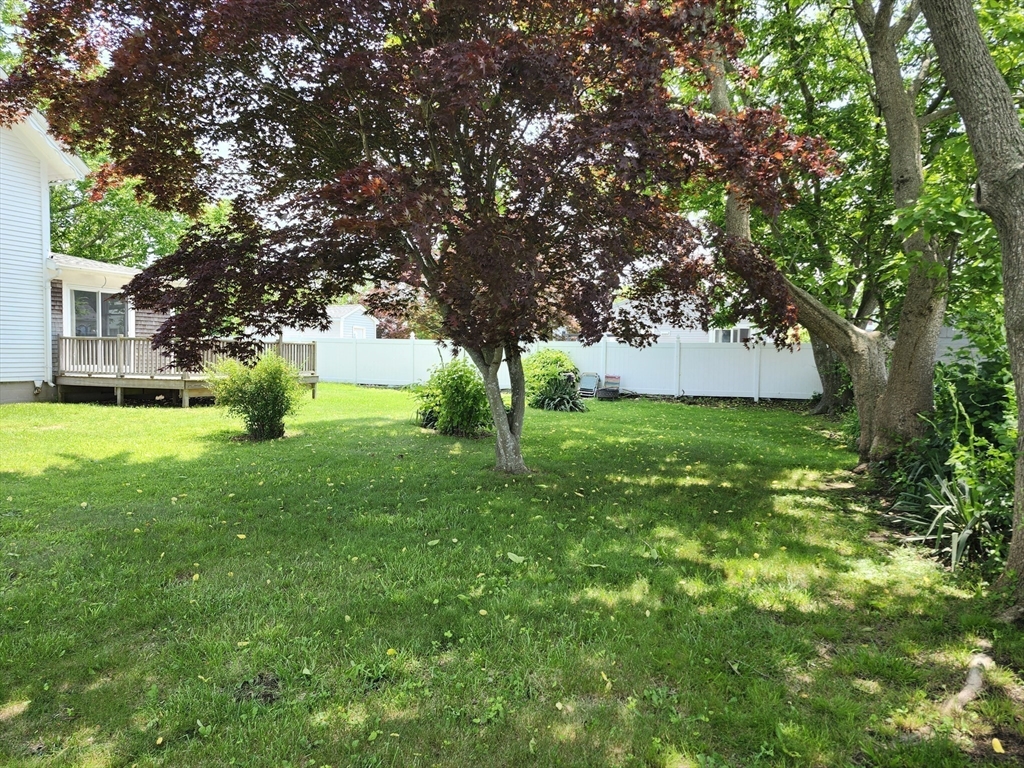 294 Clifford St