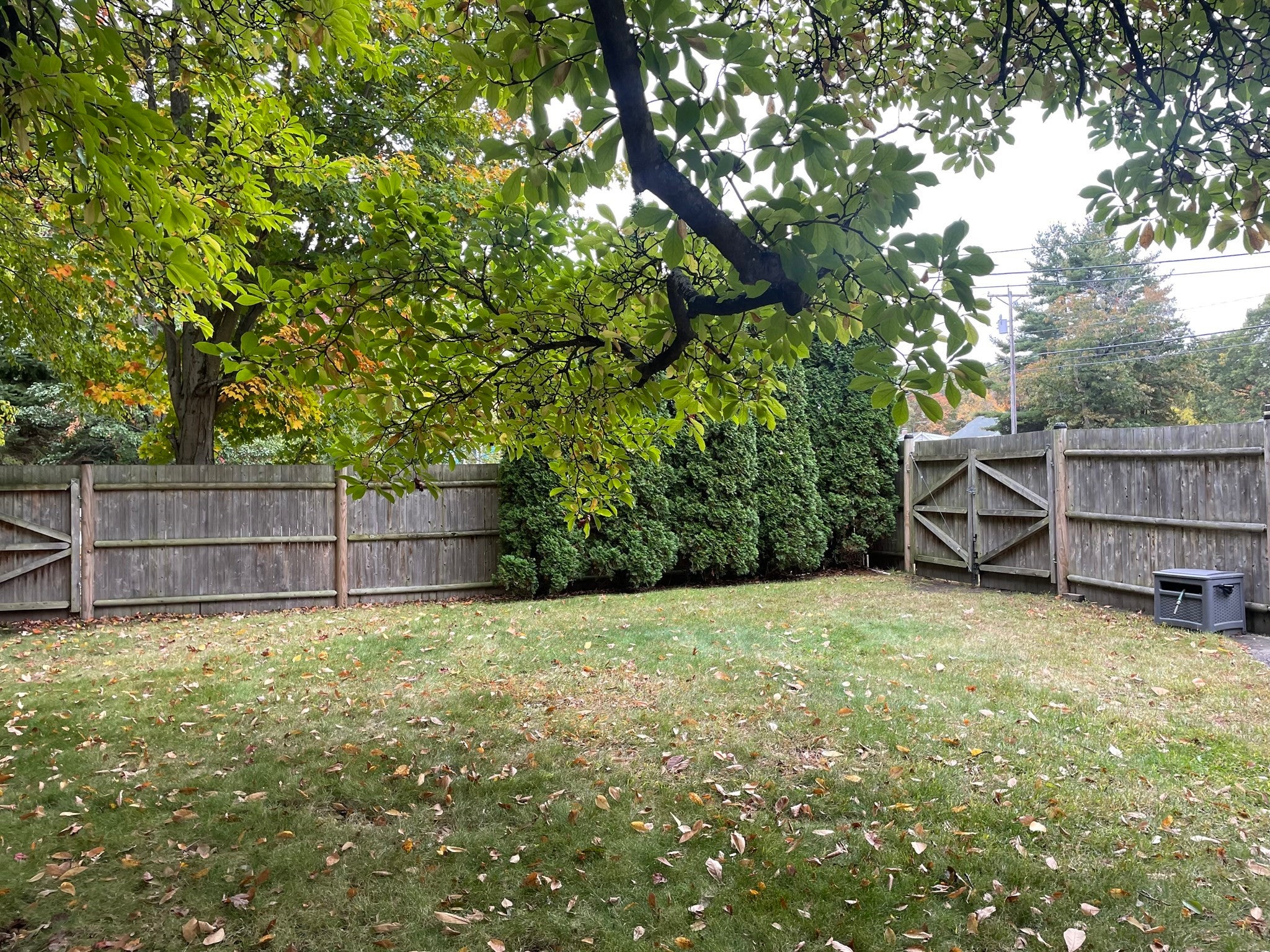 987 Bedford Street, Whitman, MA, 987 Bedford Street, Whitman, MA Photo #29