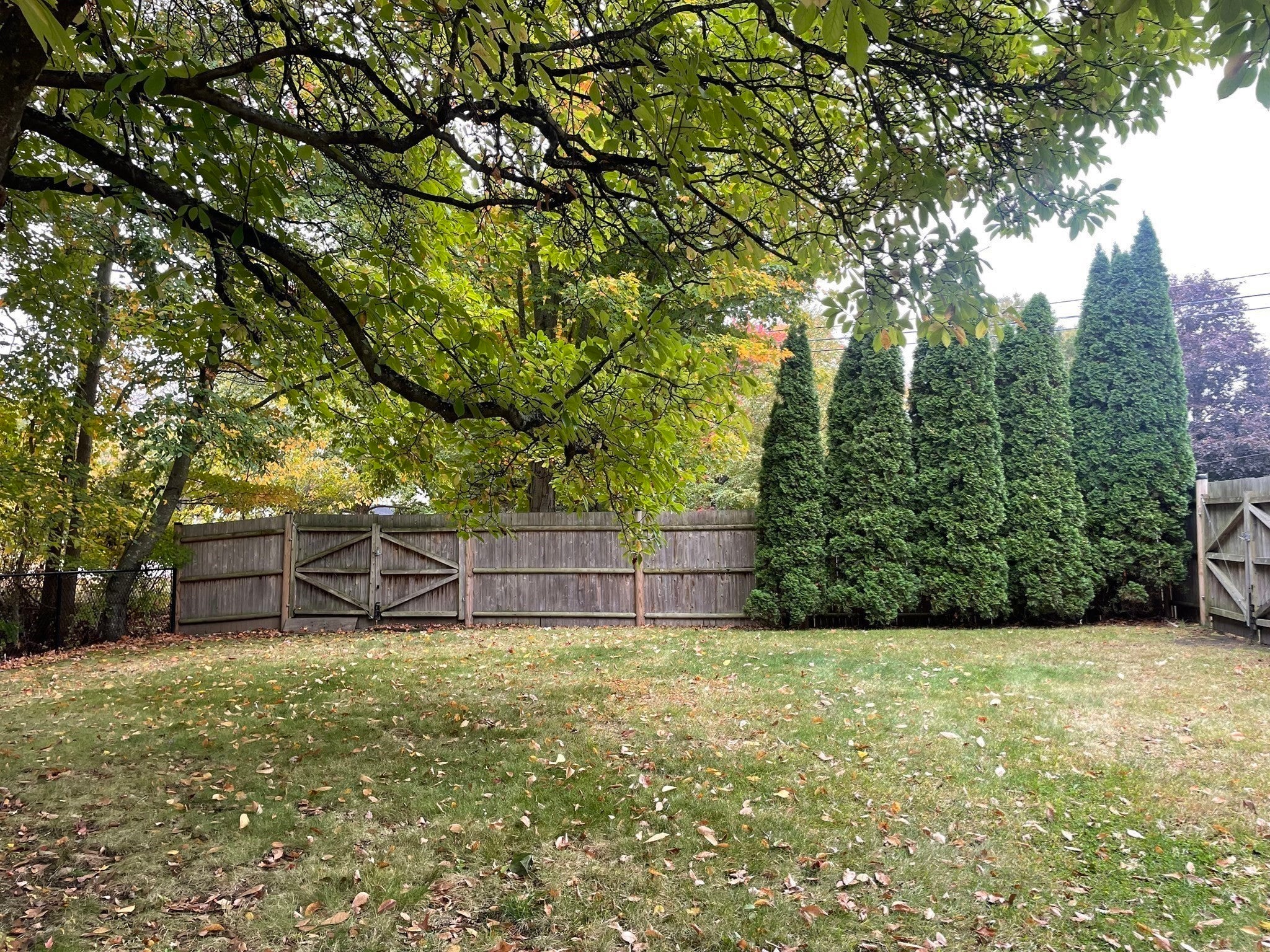 987 Bedford Street, Whitman, MA, 987 Bedford Street, Whitman, MA Photo #27