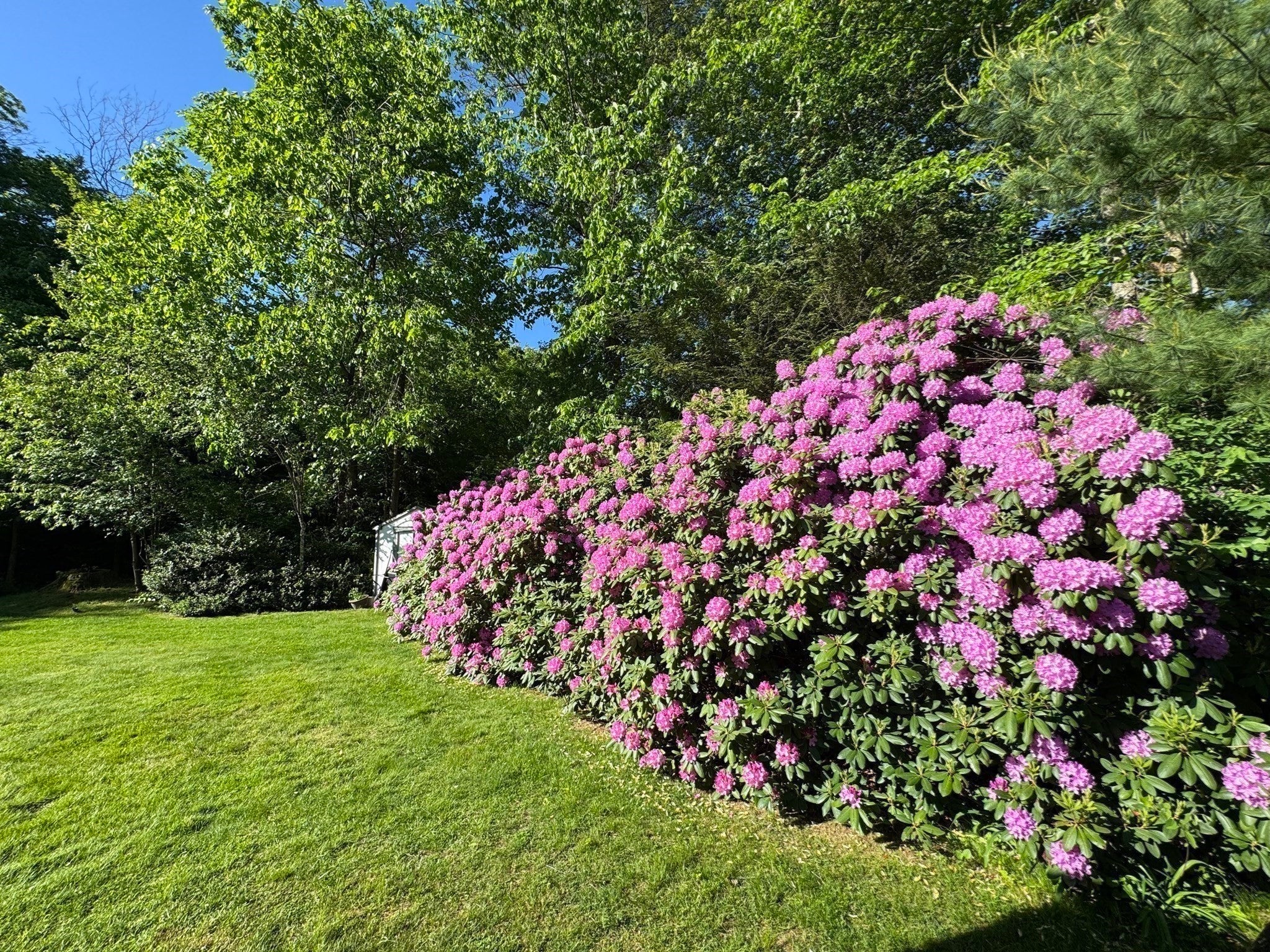 486 Belknap Rd, Framingham, MA, 486 Belknap Rd, Framingham, MA Photo #29