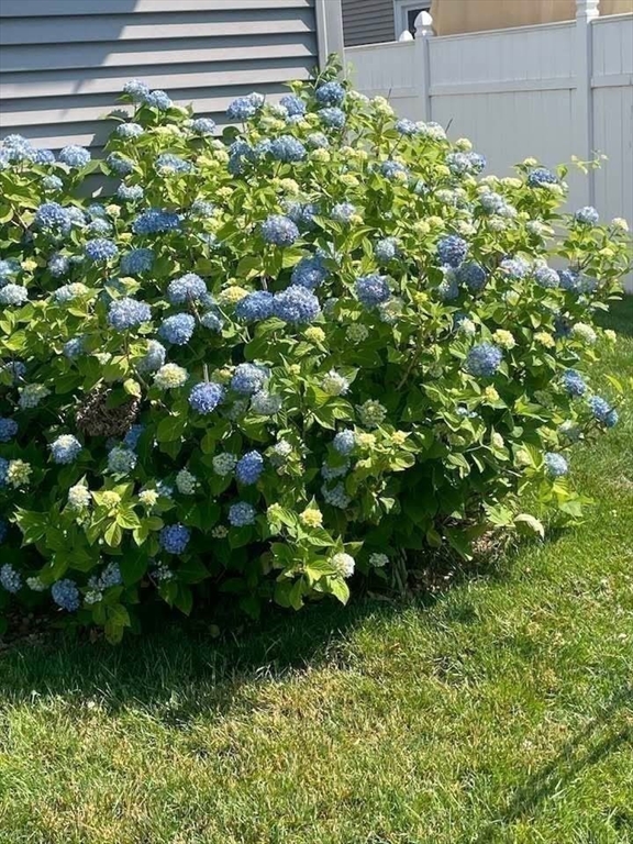 Holyoke, Massachusetts 01040, United States, 3 Bedrooms Bedrooms, ,2 BathroomsBathrooms,Residential,Contingent,104673