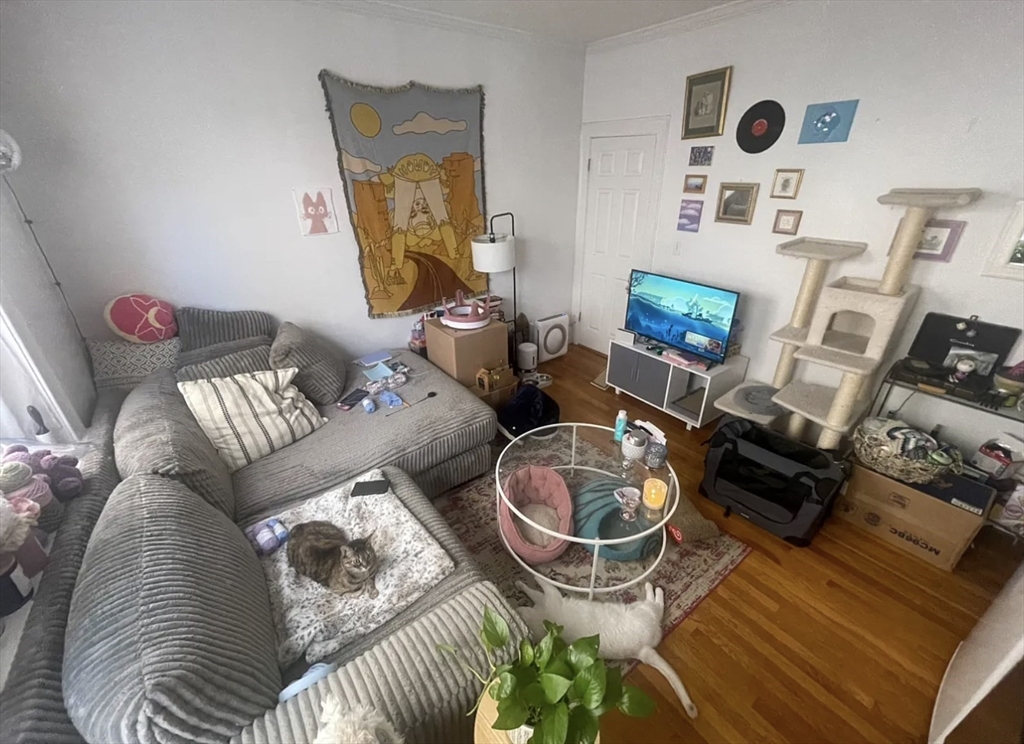 10 Fairfield St. 7