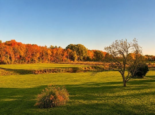 122 MARRETT RD, LEXINGTON, MA 02421 - Image 4560d797f253bbbd3b275791bfaeffbc/1106820953