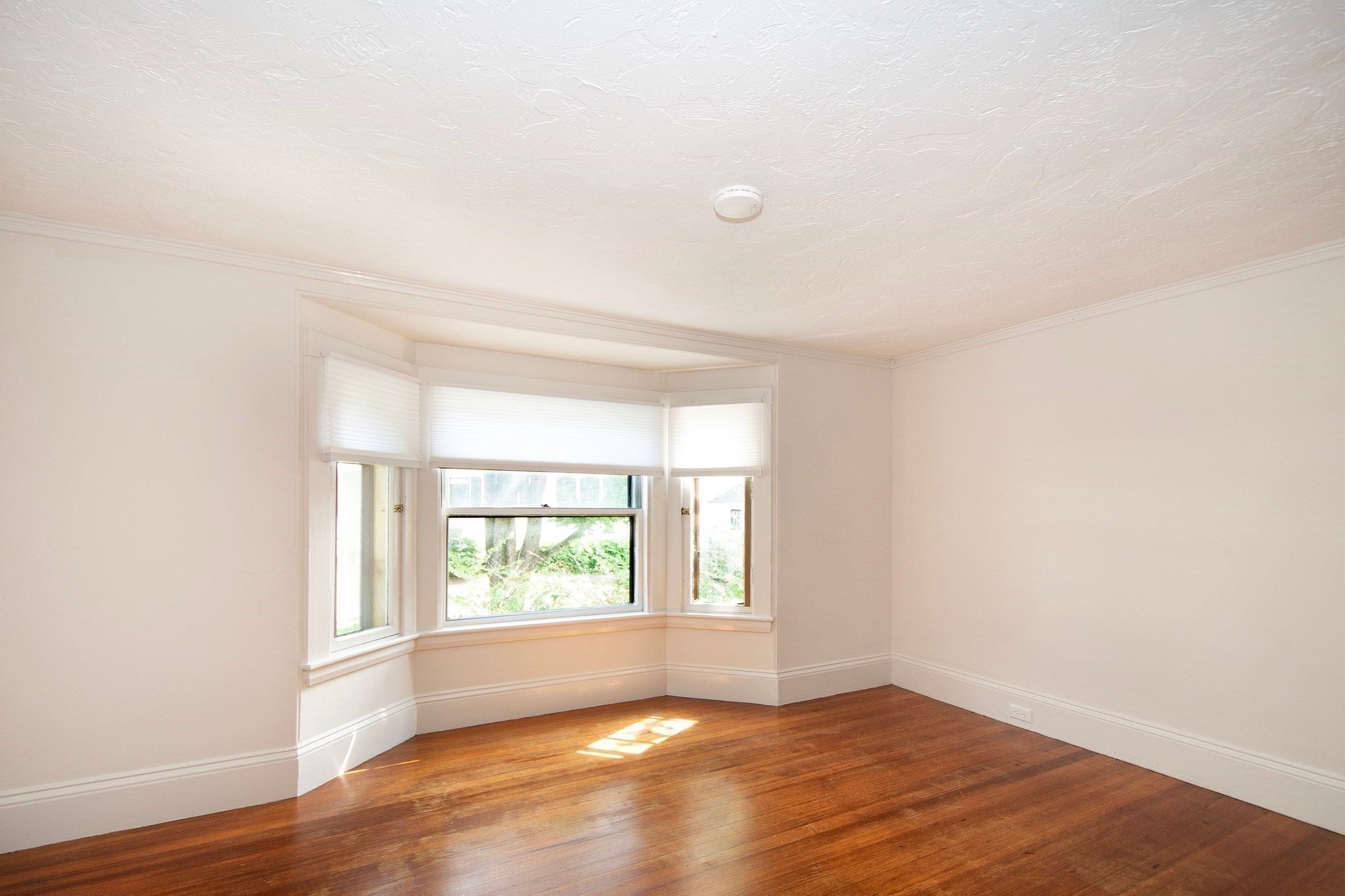 187 S Main St #1, Cohasset, MA, 187 S Main St #1, Cohasset, MA Photo #34