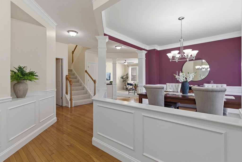 47 Buttercup Lane 47