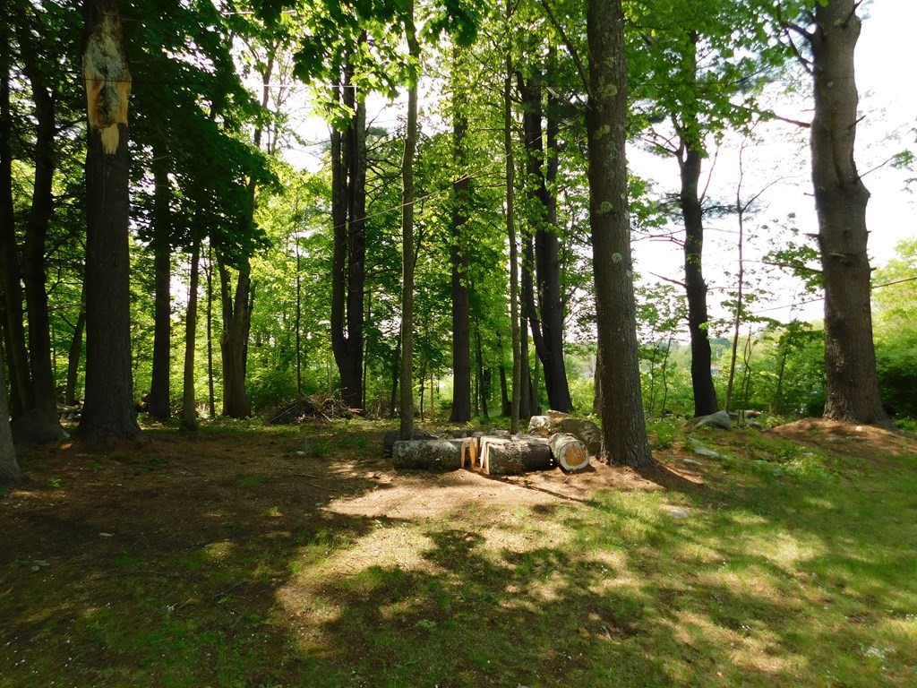 225 Rockingham Rd