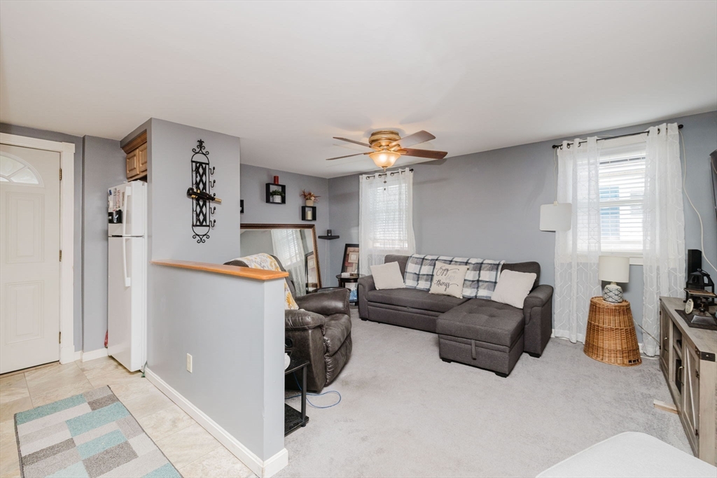 20 Wilcox St
