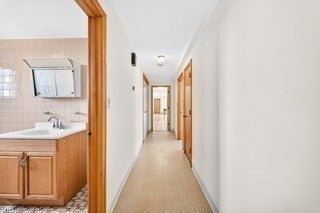 21 Annese Rd, Chelsea, MA Photo #29