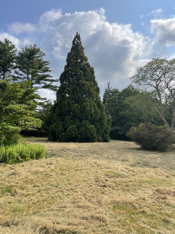 349 Old Fall River Rd