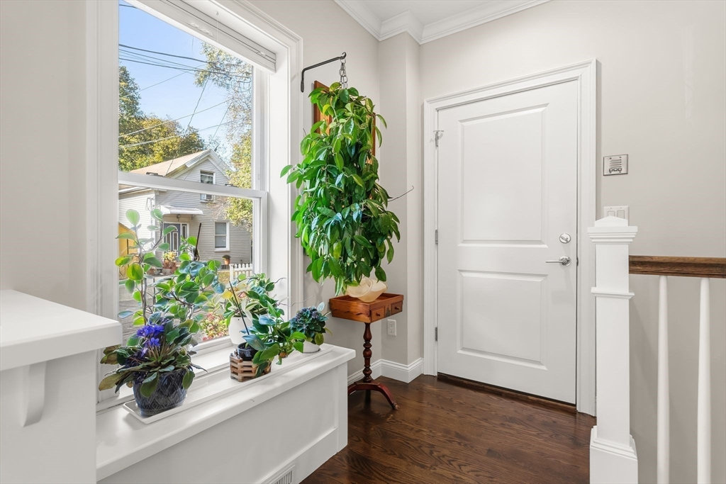 7 Court Street Pl 7