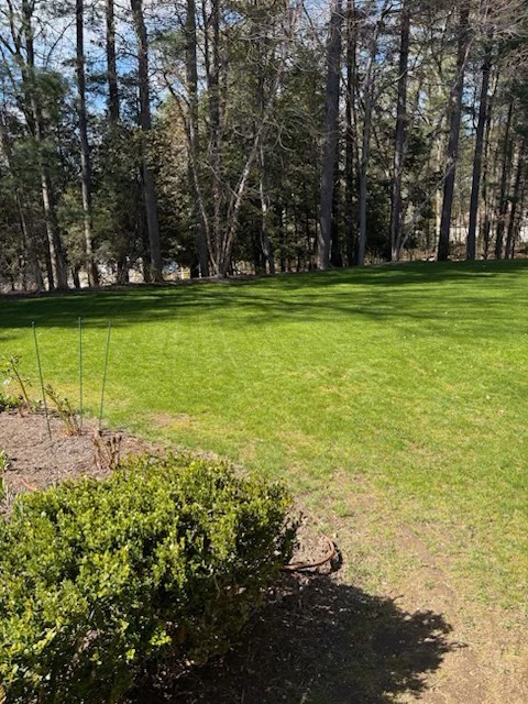 244 Musterfield Rd