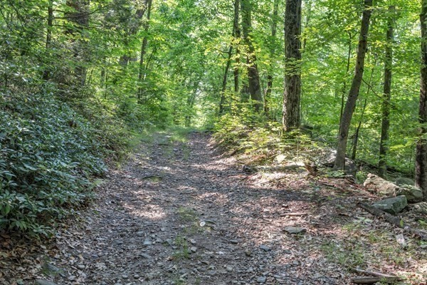 0 Auburn Rd