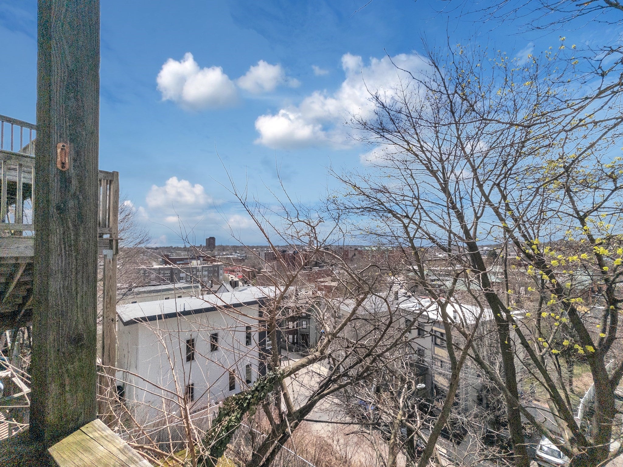 32 Fisher Ave #2, Boston, MA, 32 Fisher Ave #2, Boston, MA Photo #20
