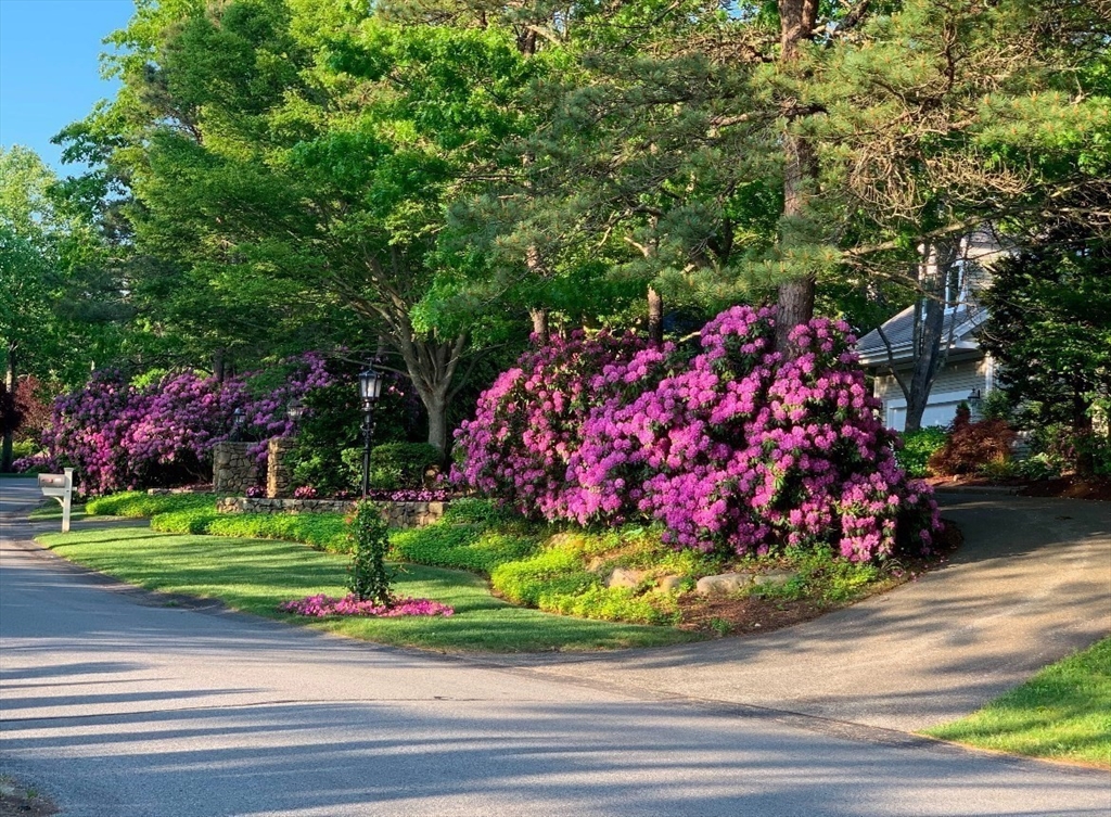 203 Willowbend