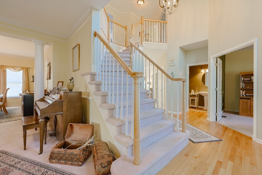 256 Robert Road