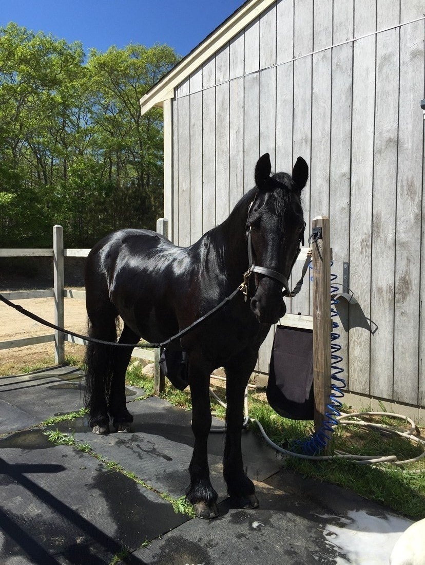 341 Service Road, Sandwich, MA, 341 Service Road, Sandwich, MA Photo #8