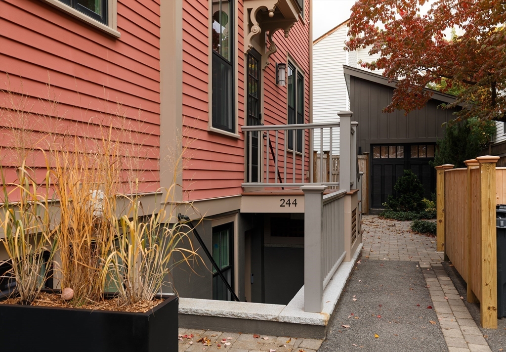 244 Norfolk Street 244