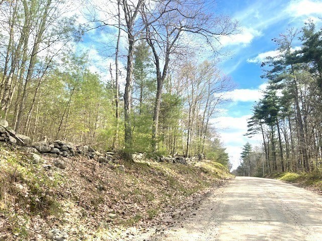 0 Williamsville Road