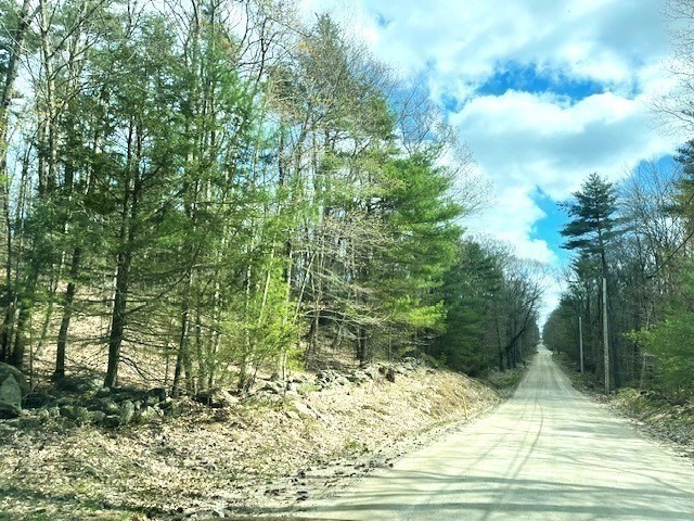 0 Williamsville Road