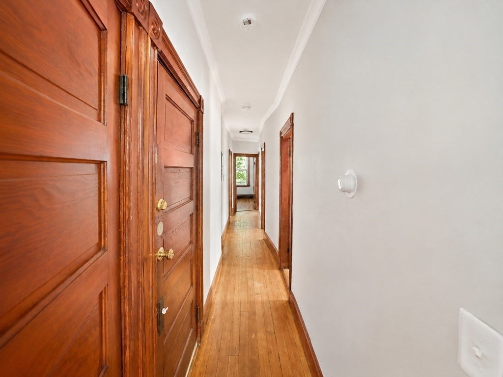24 Wakullah St #3, Boston, MA, 24 Wakullah St #3, Boston, MA Photo #10