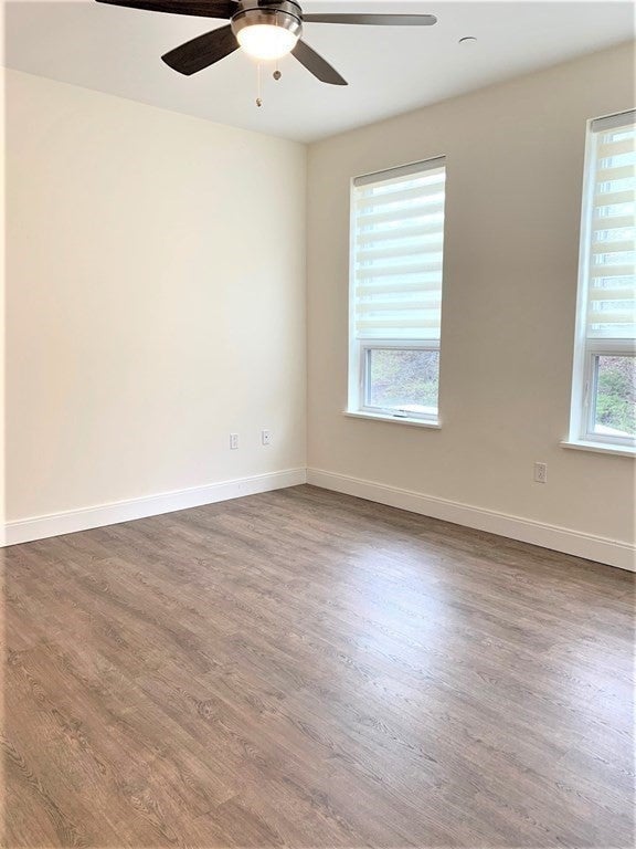 40 Fisher Ave PH302, Boston, MA, 40 Fisher Ave PH302, Boston, MA Photo #3