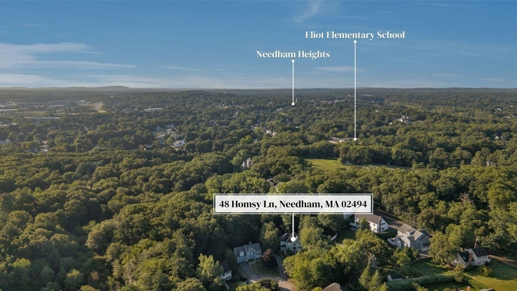 48 Homsy Lane, Needham, MA Photo #15