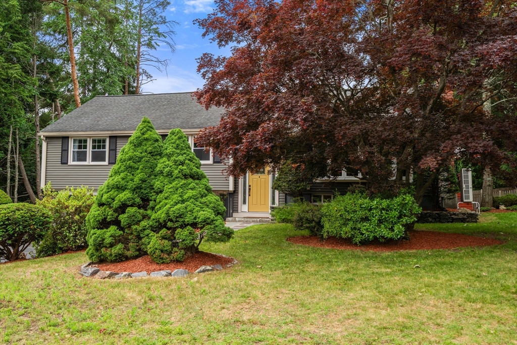 8 Birchwood Rd