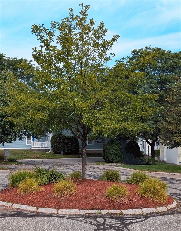 66 Village Drive 3