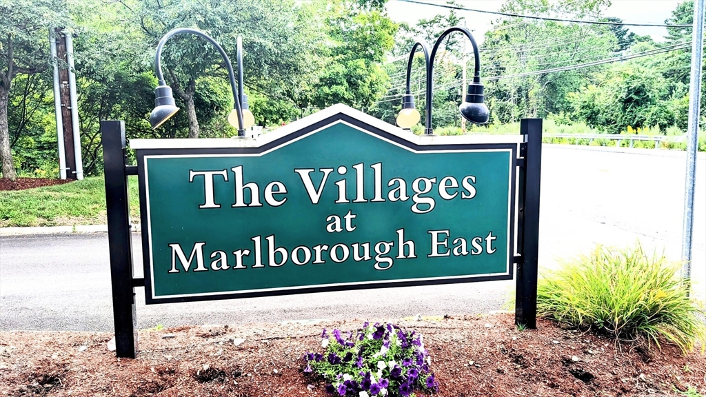66 Village Drive 3