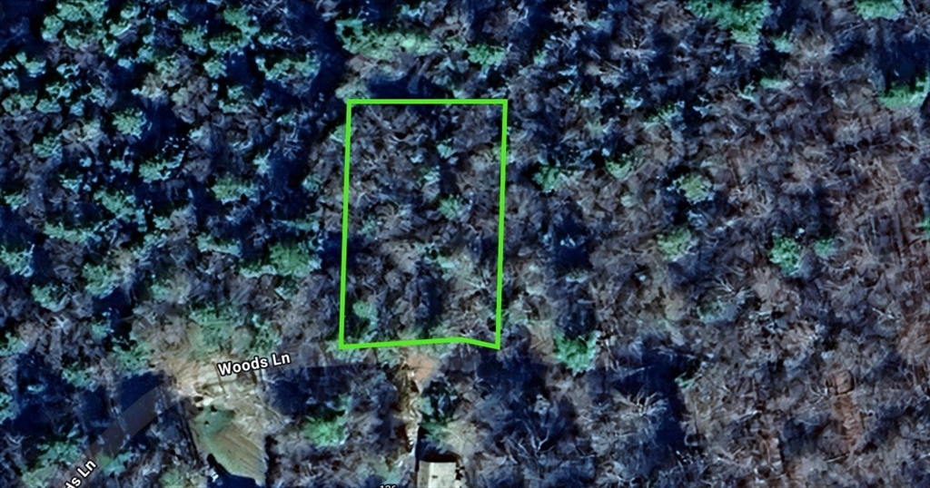 Listing image 1