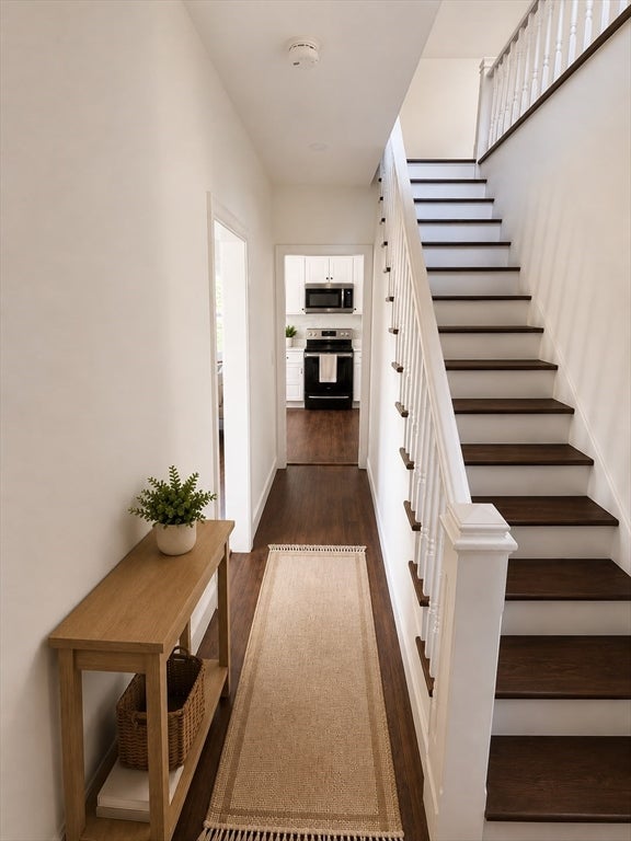26 Maple St