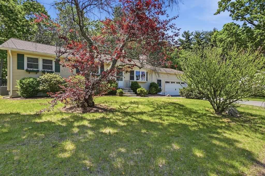 15 Kiberd Drive