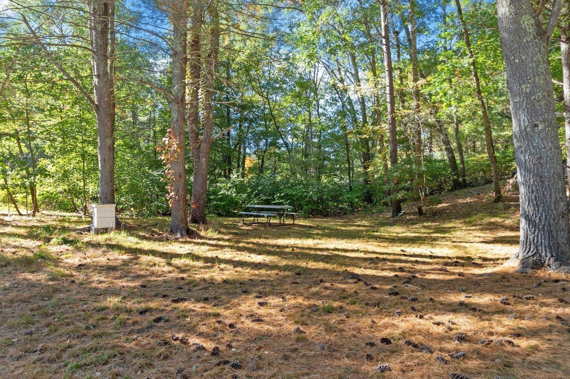 18 East St, Pepperell, MA, 18 East St, Pepperell, MA Photo #28