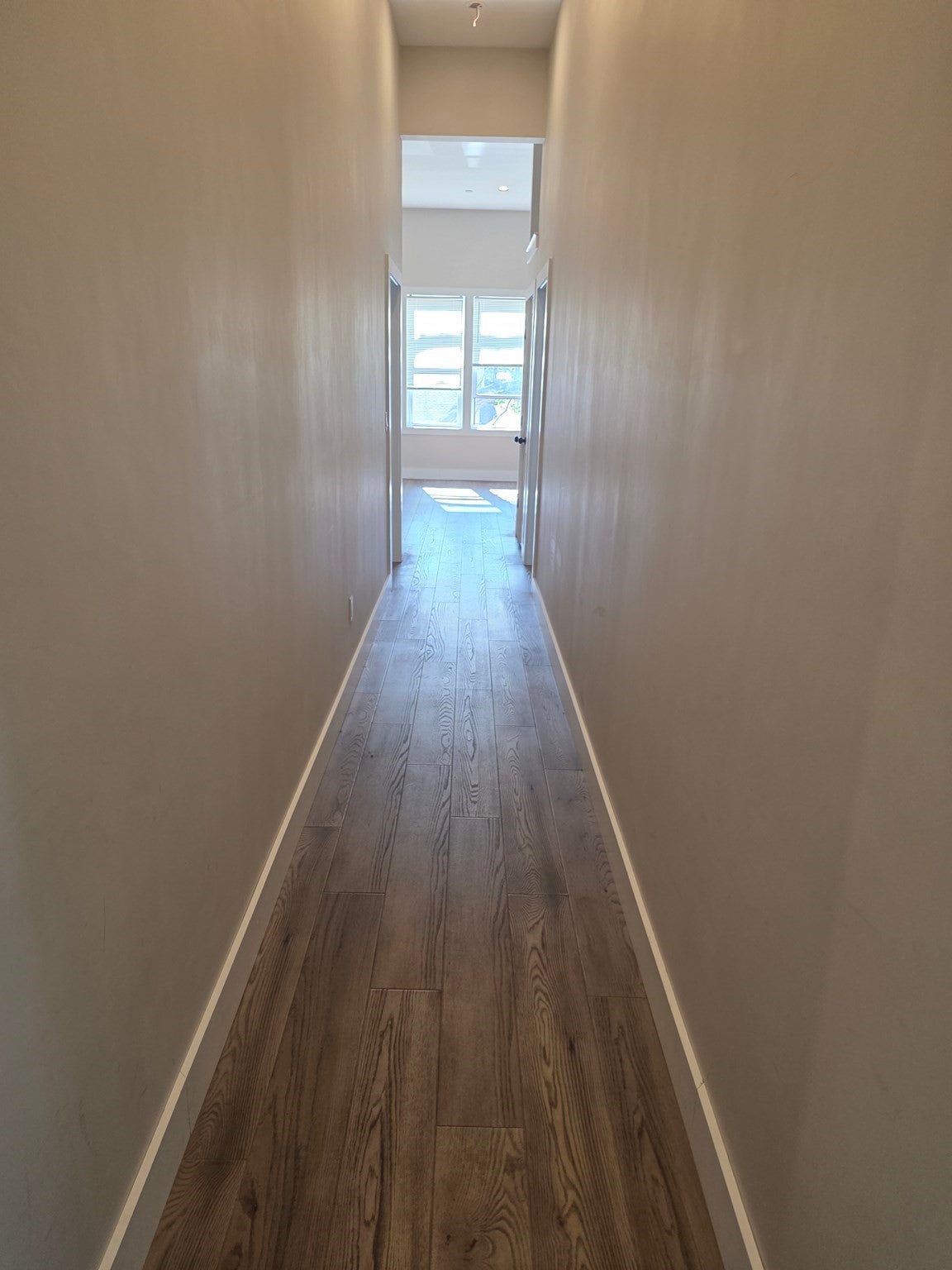 139 Harrishof ST #3, Boston, MA, 139 Harrishof ST #3, Boston, MA Photo #19