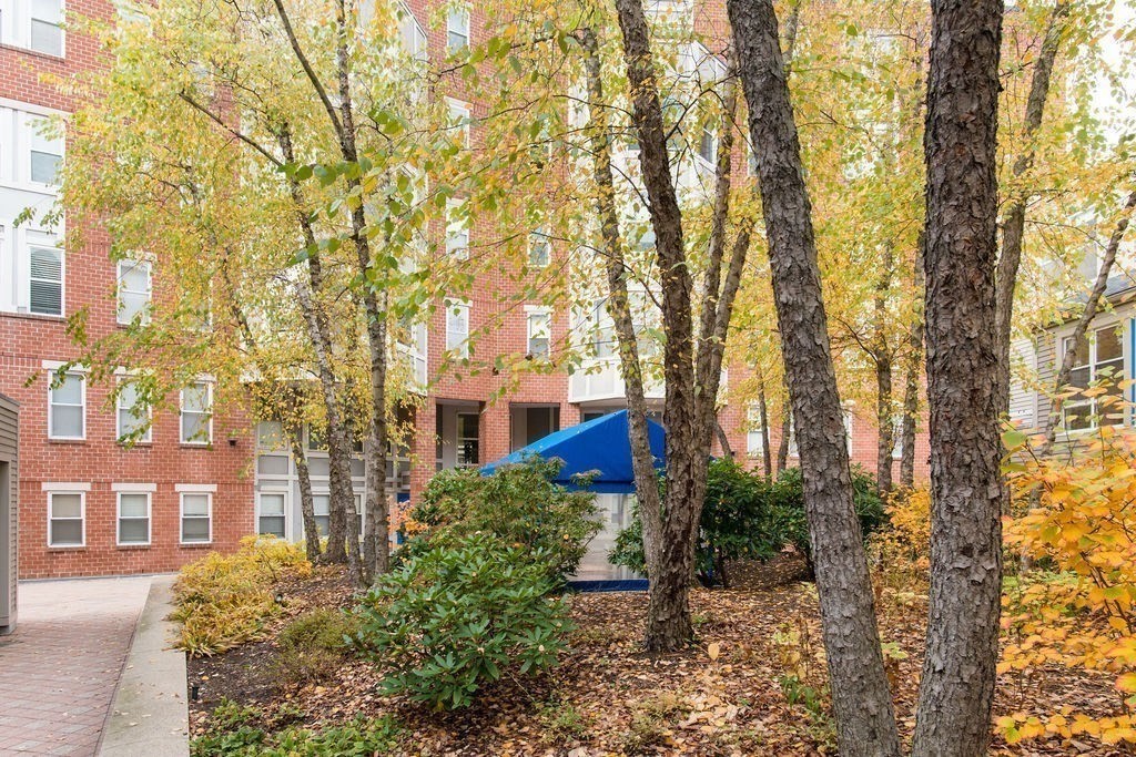 20 Chestnut St #402, Cambridge, MA, 20 Chestnut St #402, Cambridge, MA Photo #14