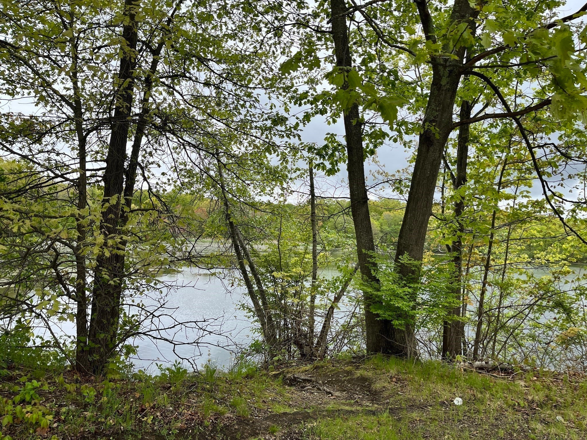 17 Arcade Street #B, Northbridge, MA, 17 Arcade Street #B, Northbridge, MA Photo #17