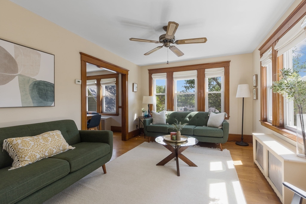12 Seery St