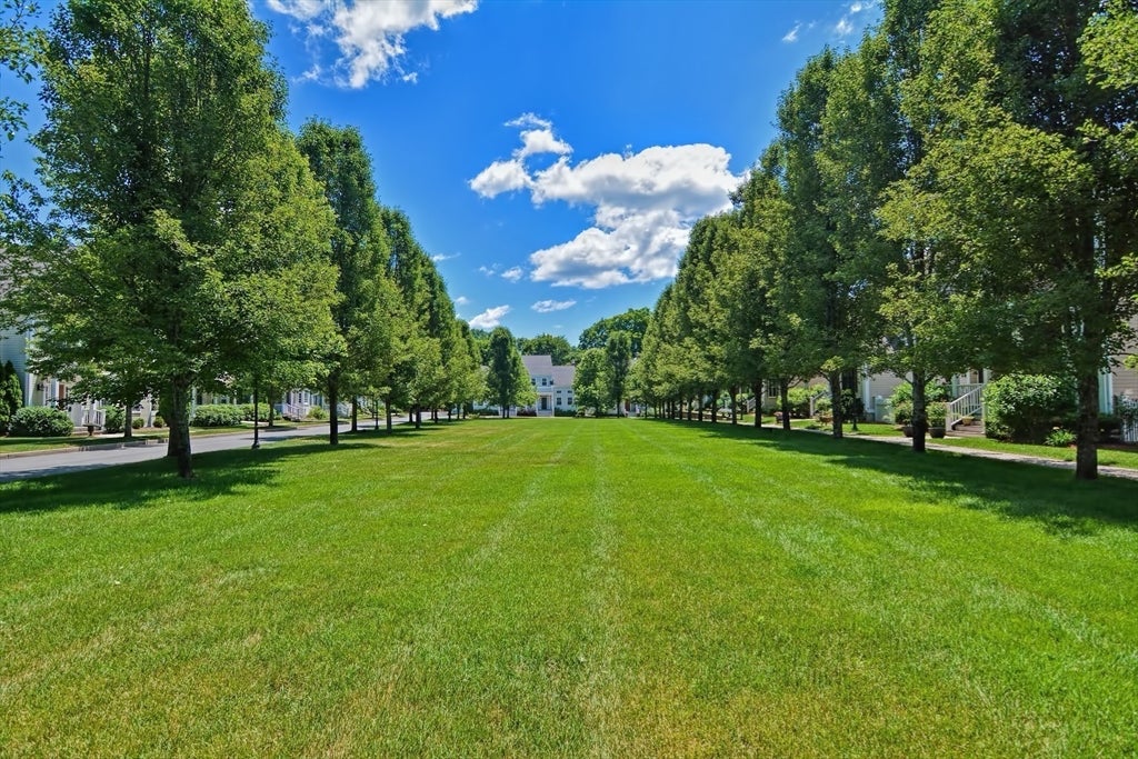 32 Maple Lane #32, Medfield, MA, 32 Maple Lane #32, Medfield, MA Photo #39