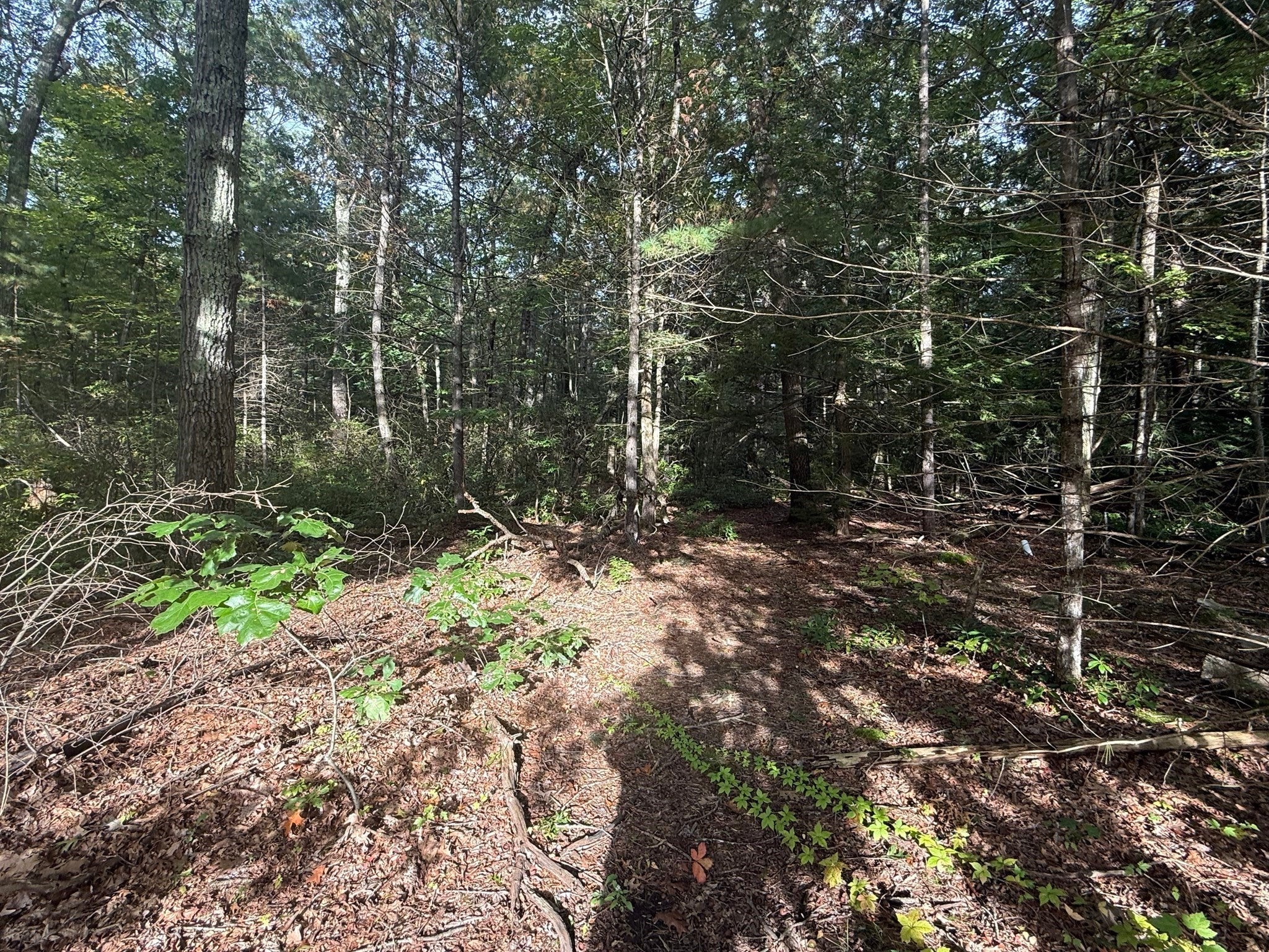 Lot 6 Northwest Road
