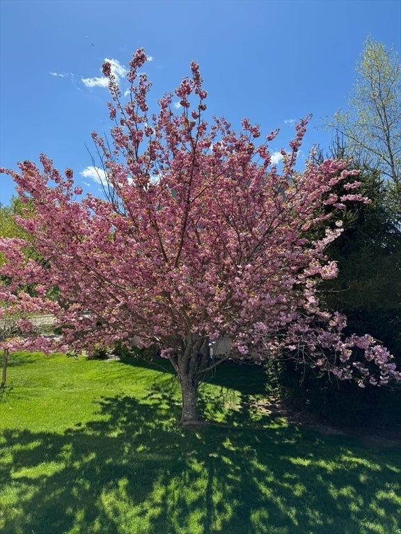 14 Orchard Ln, Abington, MA, 14 Orchard Ln, Abington, MA Photo #30