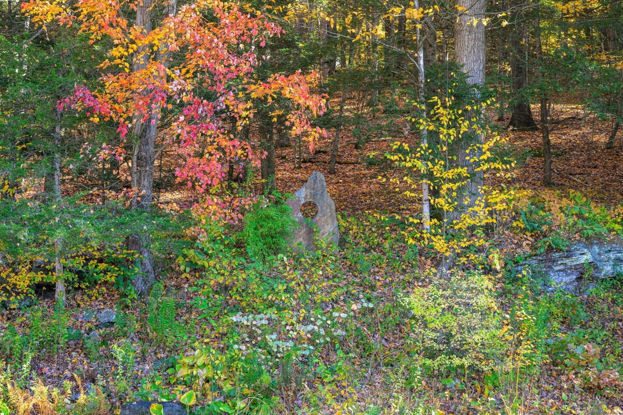 250 N Main St, Sunderland, MA Photo #35