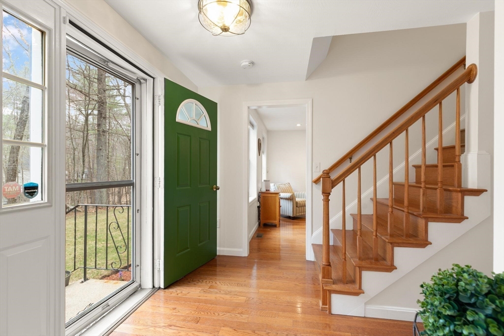 41 Chestnut Rd