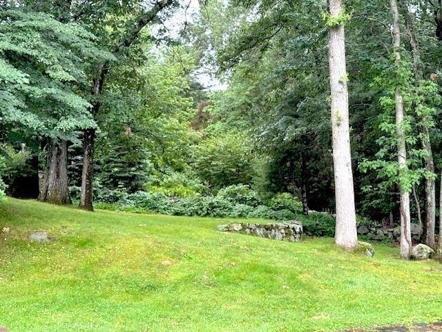 40 Woodfall Rd, Belmont, MA, 40 Woodfall Rd, Belmont, MA Photo #32
