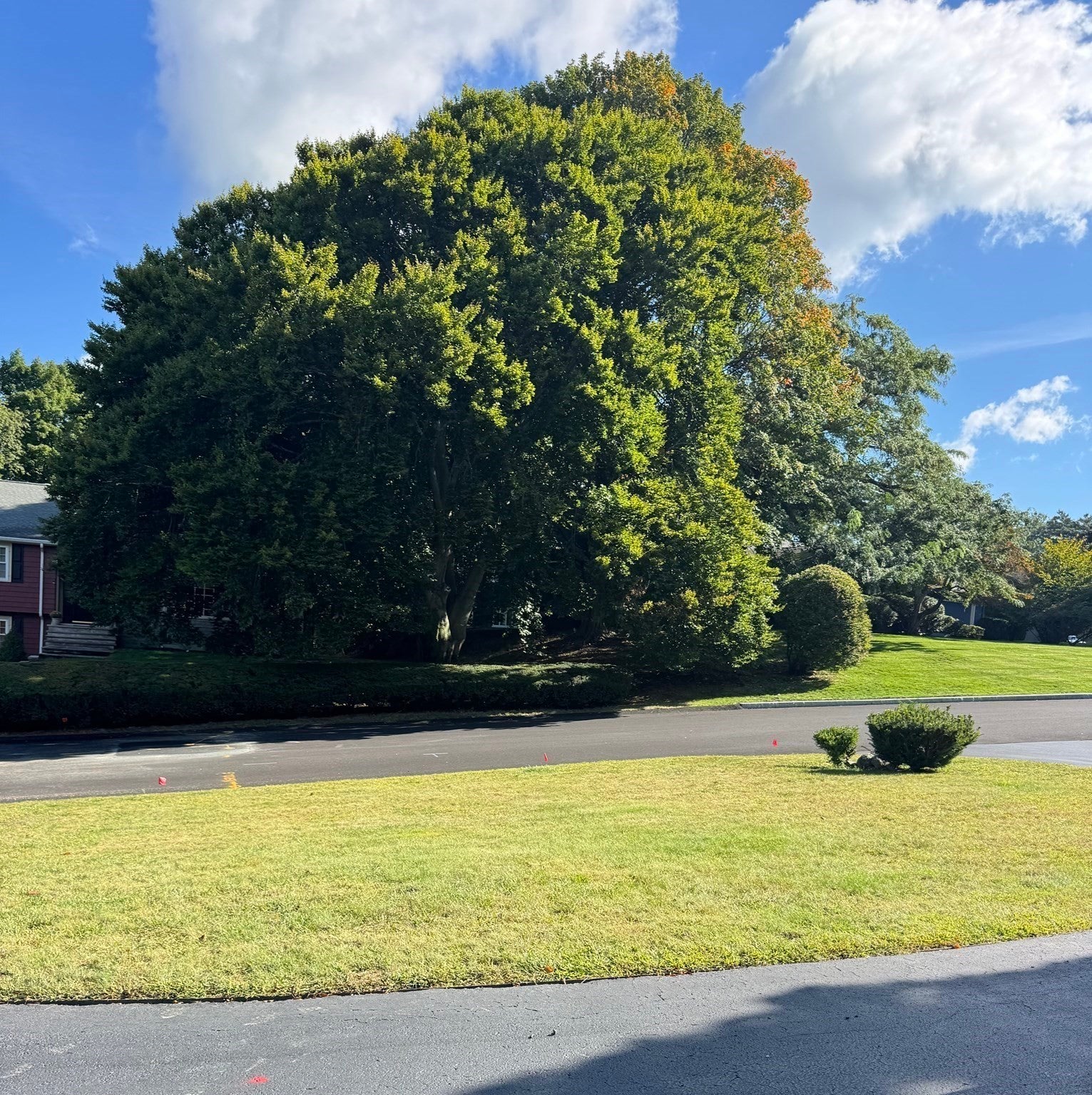 40 Woodfall Rd, Belmont, MA, 40 Woodfall Rd, Belmont, MA Photo #34
