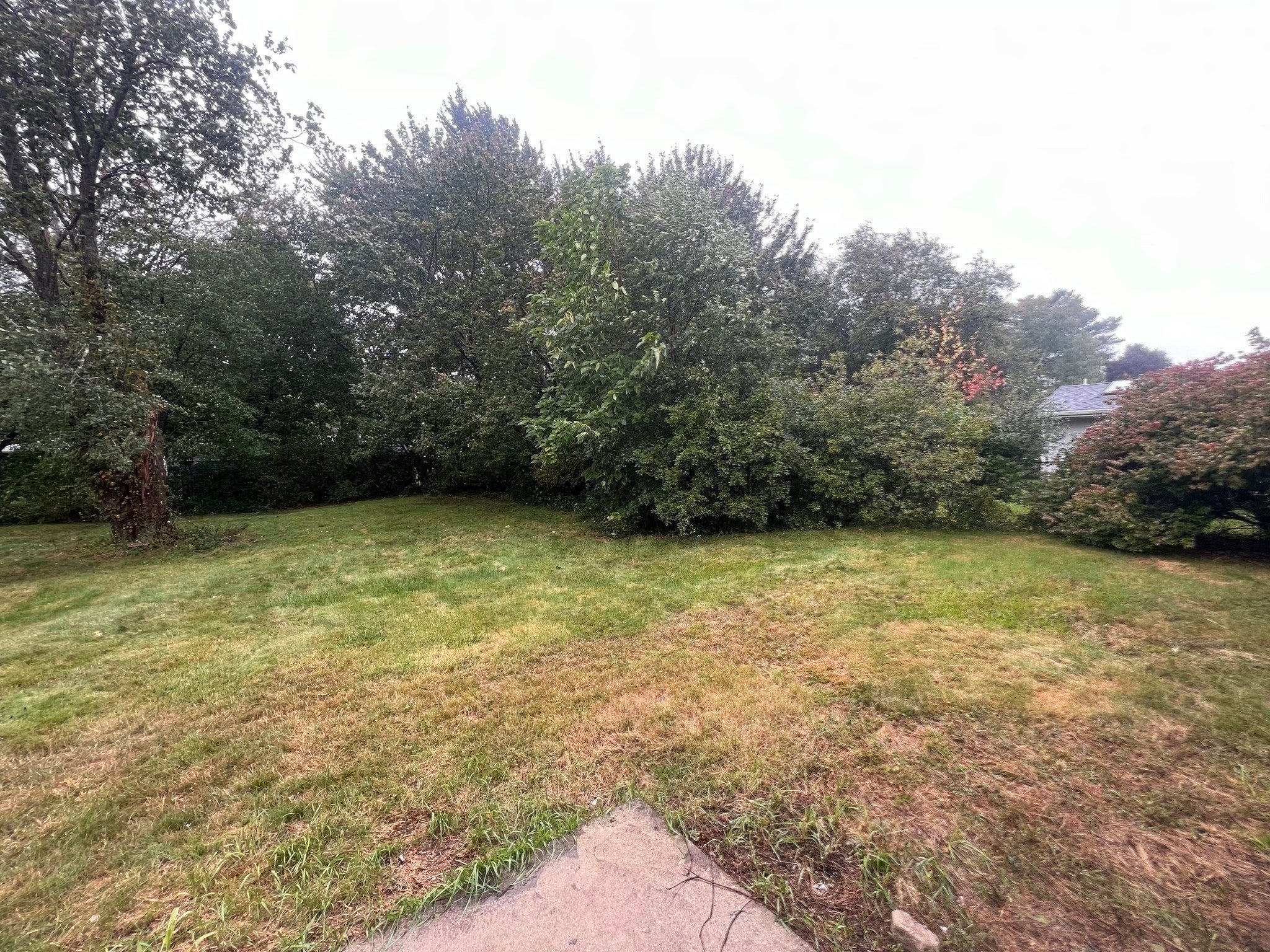 47 Mercedes Rd, Brockton, MA Photo #20