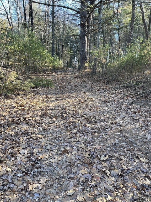 Lot 38 Michael Sears