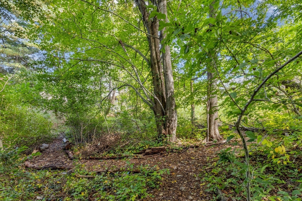 Stoughton, Massachusetts 02072, United States, 3 Bedrooms Bedrooms, ,2 BathroomsBathrooms,Residential,Active,220009