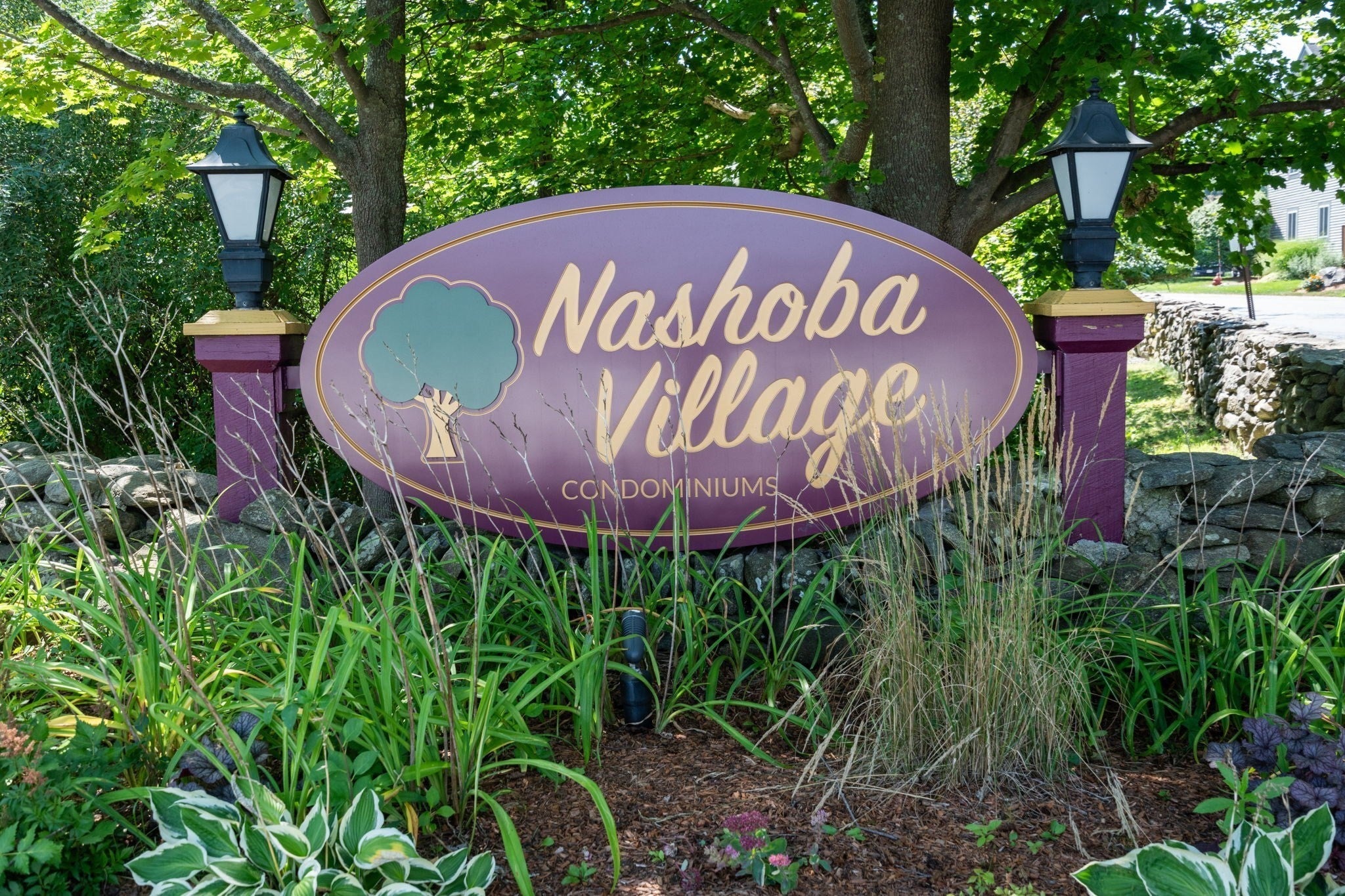 55 Littleton Rd 11B