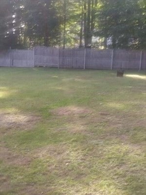 75 Dale Ave, Leominster, MA, 75 Dale Ave, Leominster, MA Photo #5