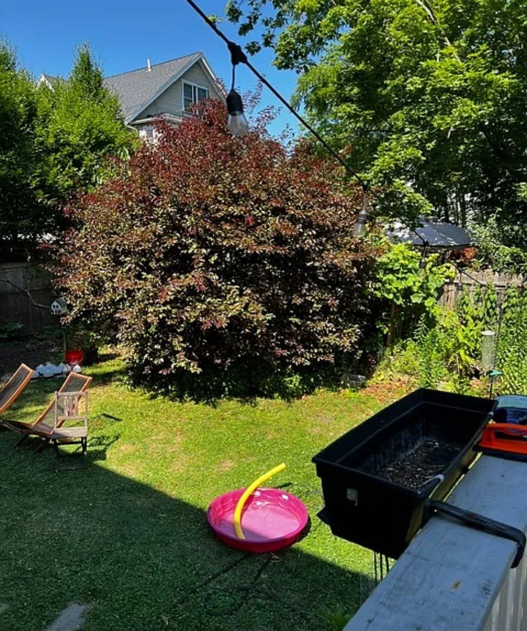 163 Roslindale AVE #1, Boston, MA Photo #4